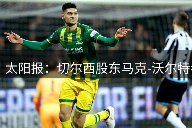 太阳报：切尔西股东马克-沃尔特考虑出售所持俱乐部股份